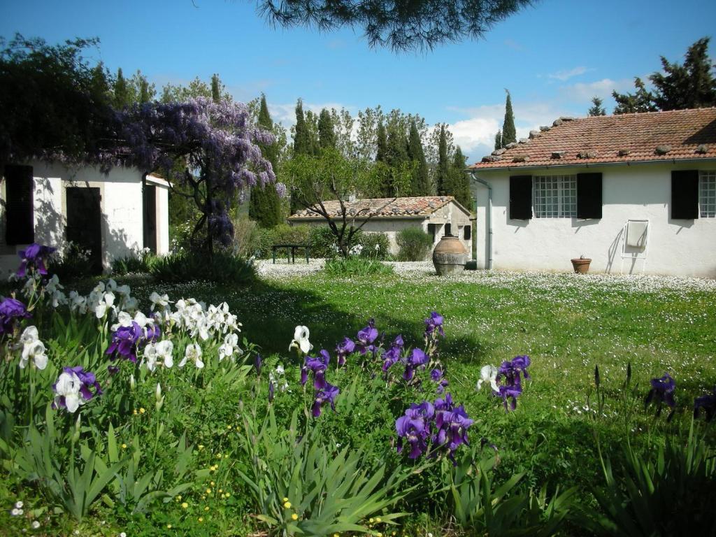 Vignagrande Agriturismo Saturnia Quarto foto